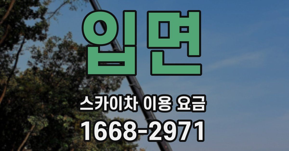 입면 스카이차 이용 요금
