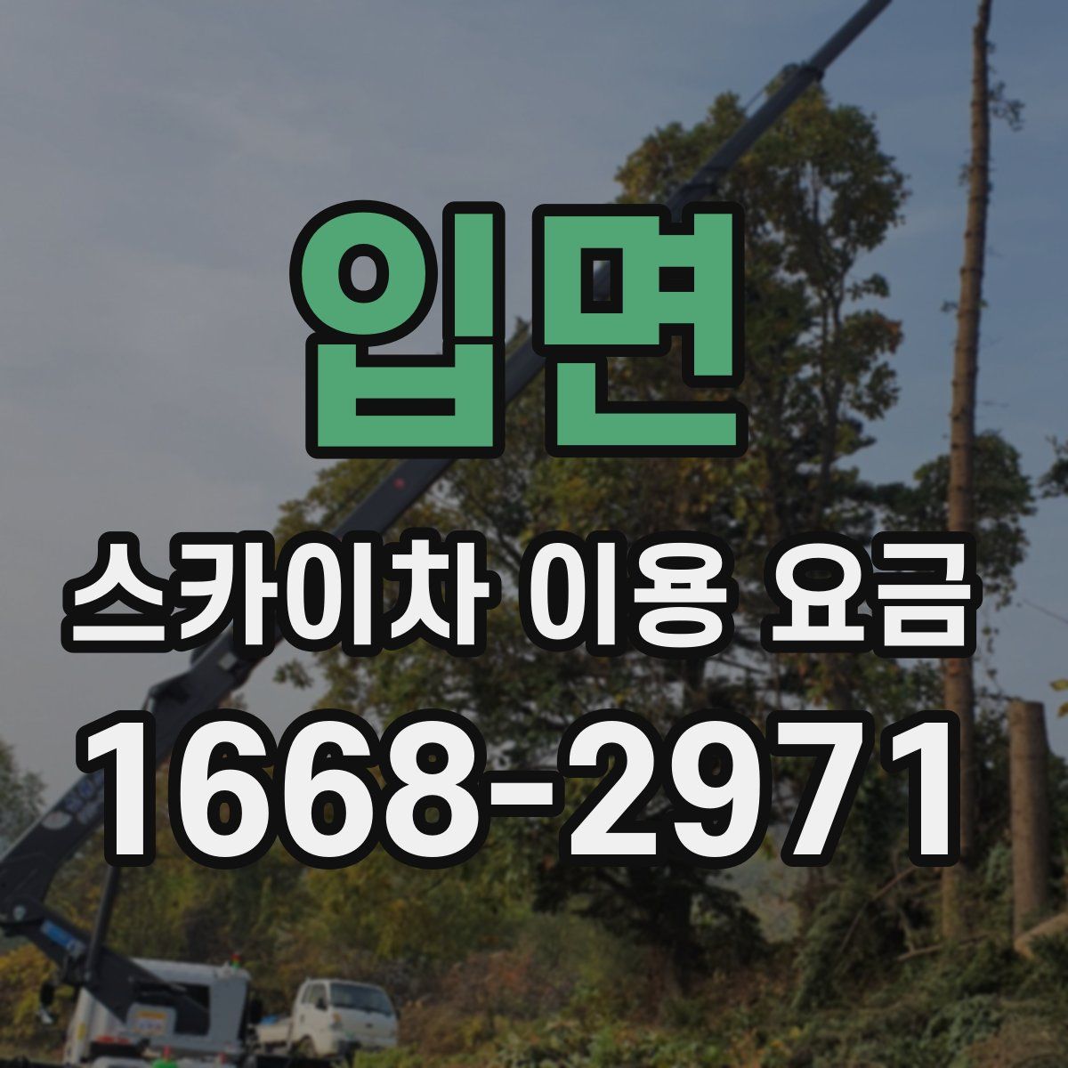 입면 스카이차 이용 요금