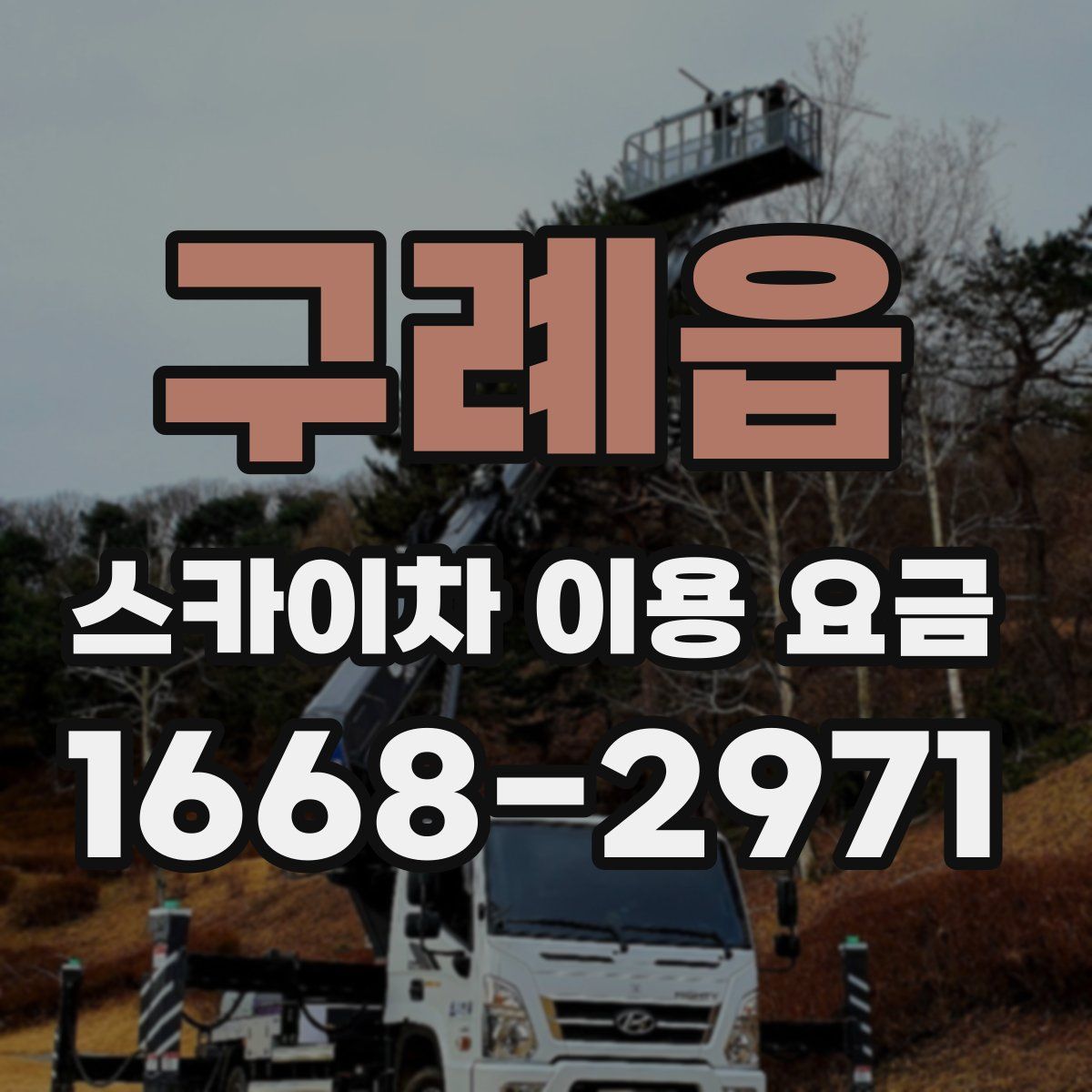 구례읍 스카이차 이용 요금
