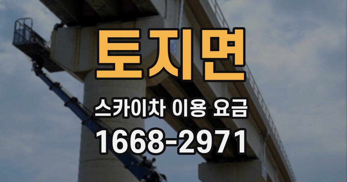 토지면 스카이차 이용 요금