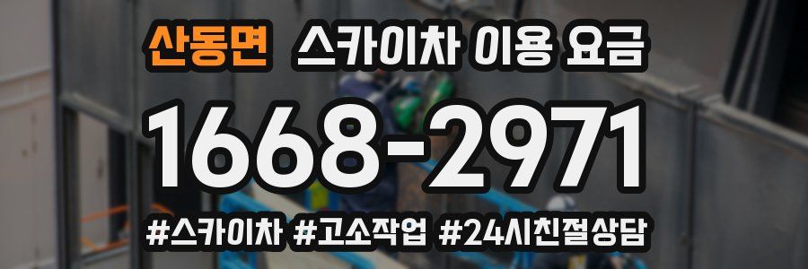 산동면 스카이차 이용 요금