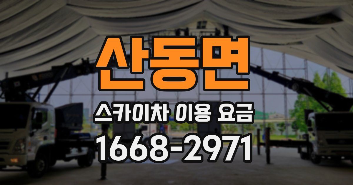 산동면 스카이차 이용 요금