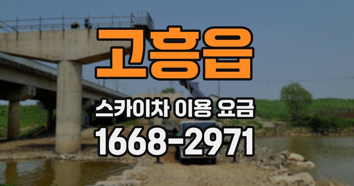 고흥읍 스카이차 이용 요금
