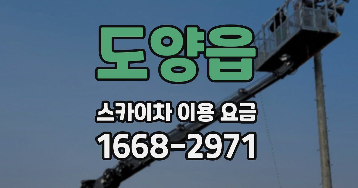 도양읍 스카이차 이용 요금