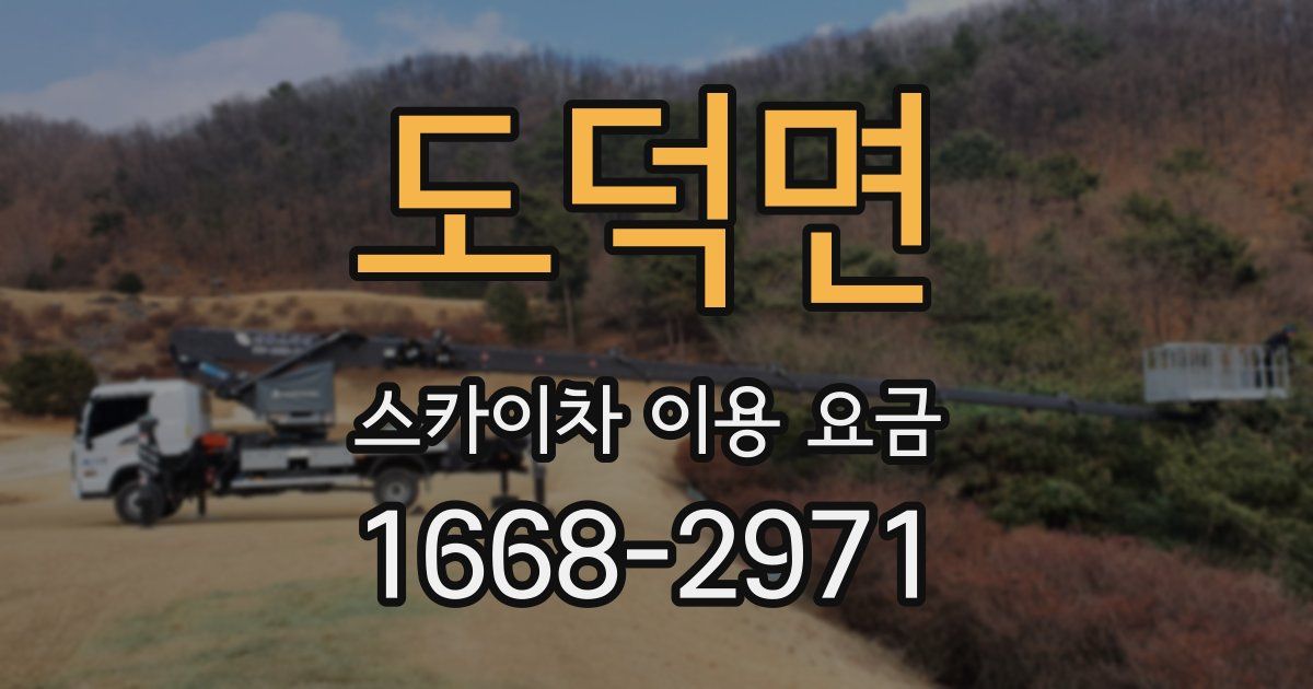 도덕면 스카이차 이용 요금