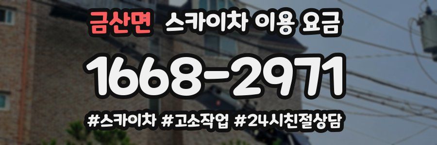 금산면 스카이차 이용 요금