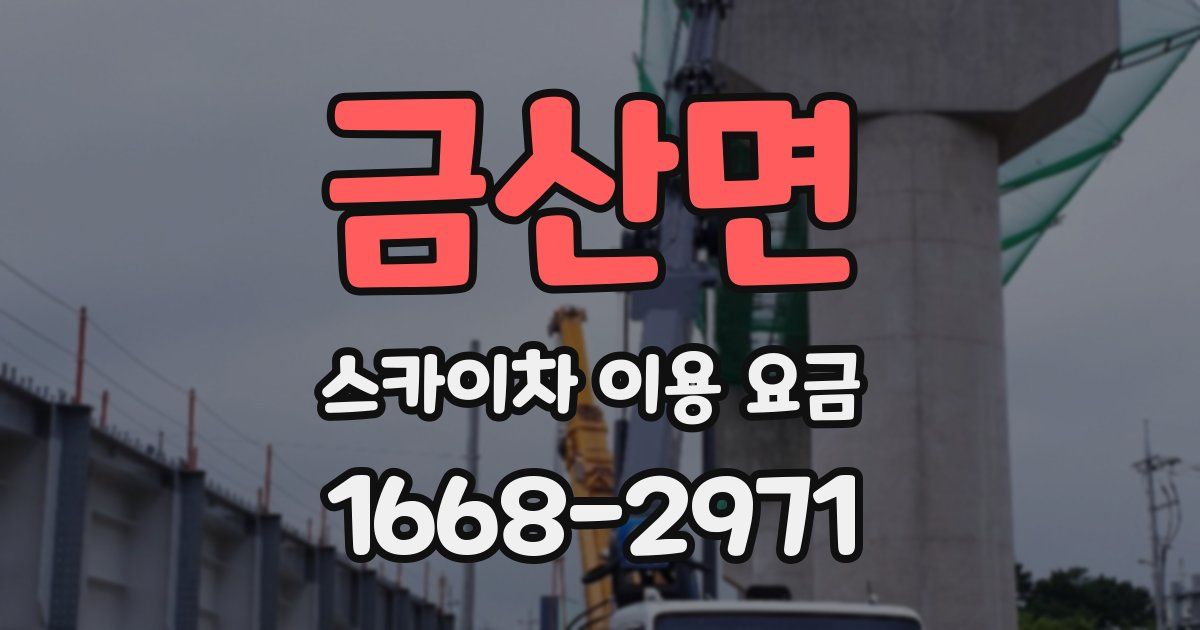 금산면 스카이차 이용 요금