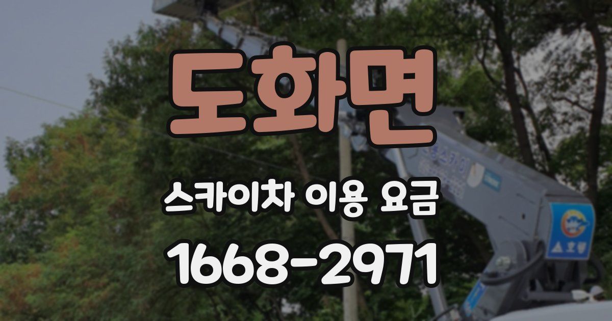 도화면 스카이차 이용 요금