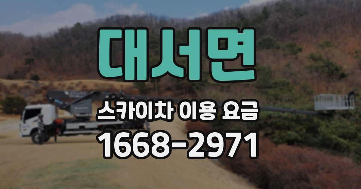 대서면 스카이차 이용 요금