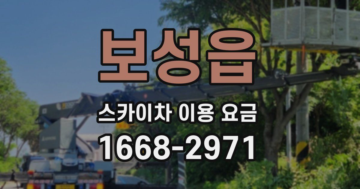 보성읍 스카이차 이용 요금