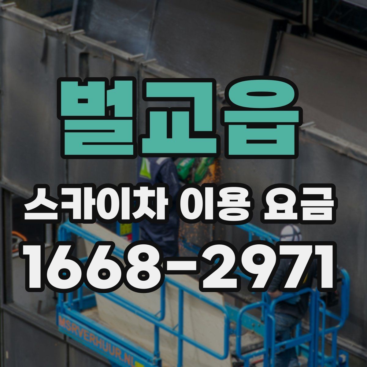 벌교읍 스카이차 이용 요금 비교를 위한 핵심 포인트