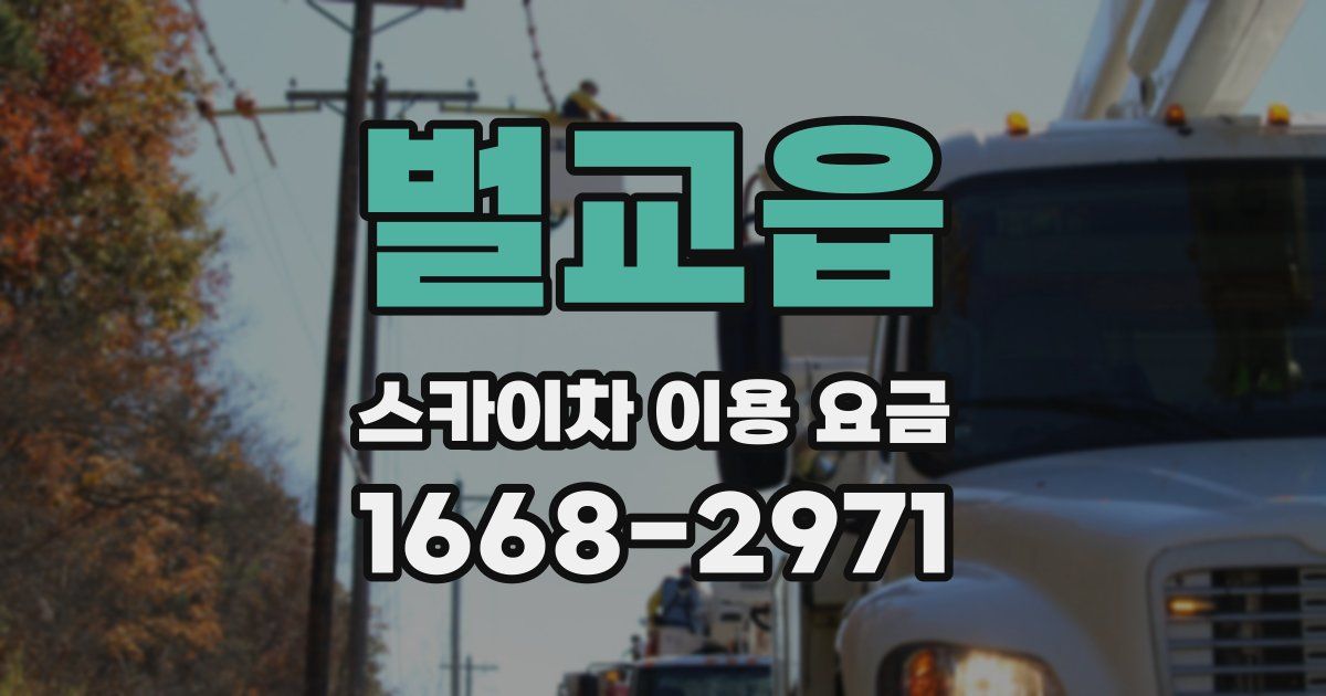 벌교읍 스카이차 이용 요금