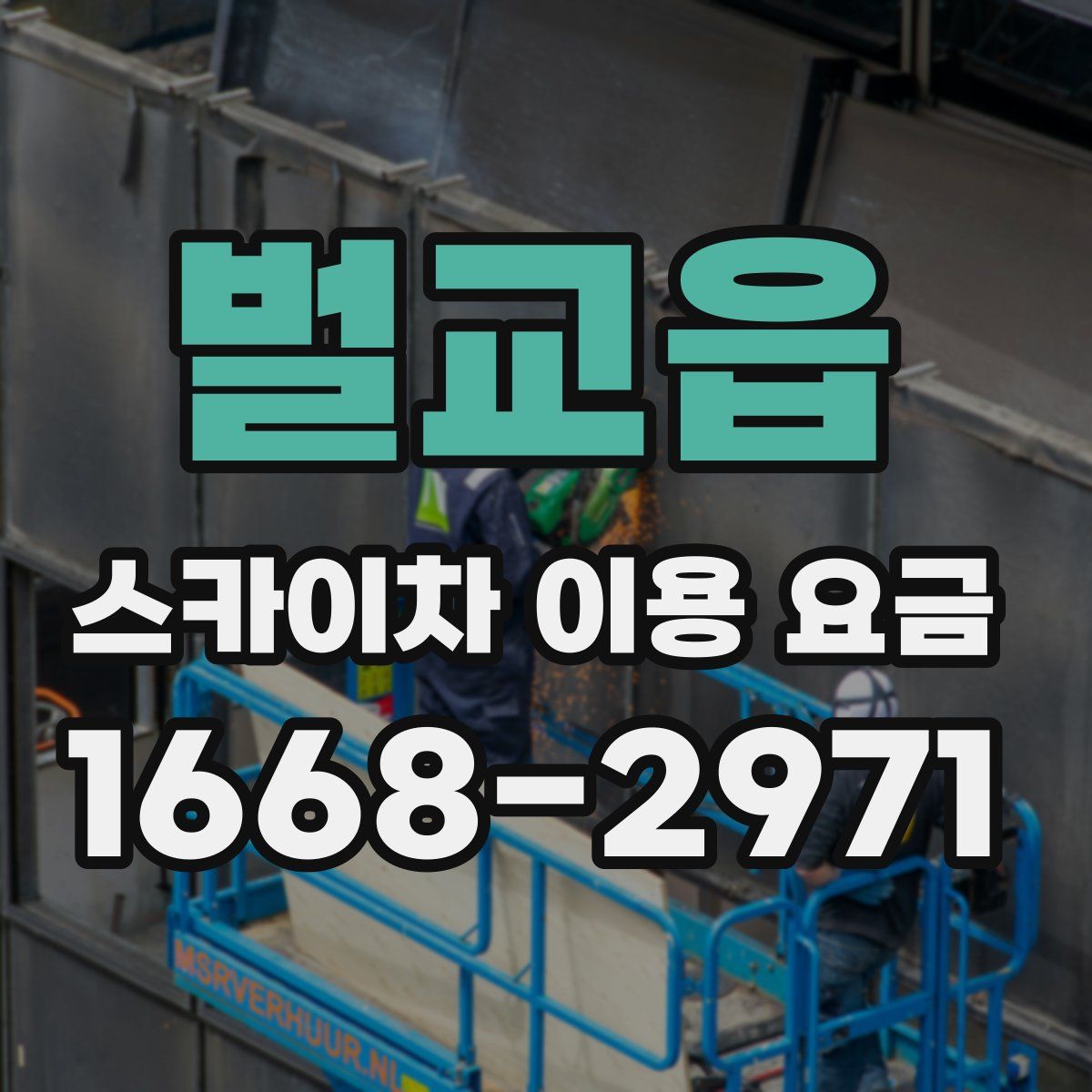 벌교읍 스카이차 이용 요금