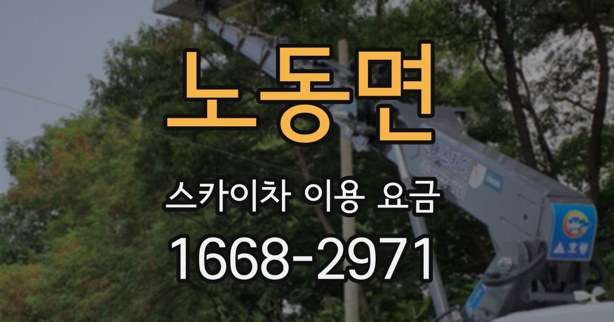 노동면 스카이차 이용 요금