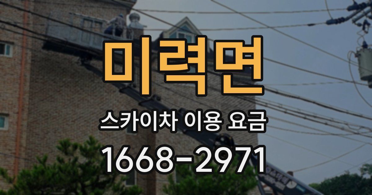 미력면 스카이차 이용 요금