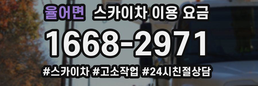 율어면 스카이차 이용 요금