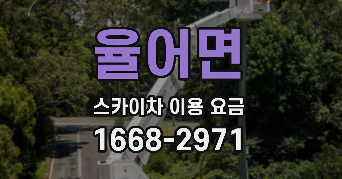 율어면 스카이차 이용 요금