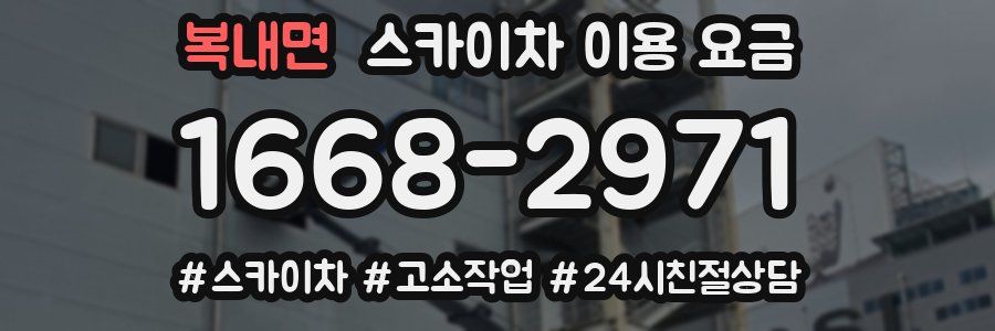 복내면 스카이차 이용 요금