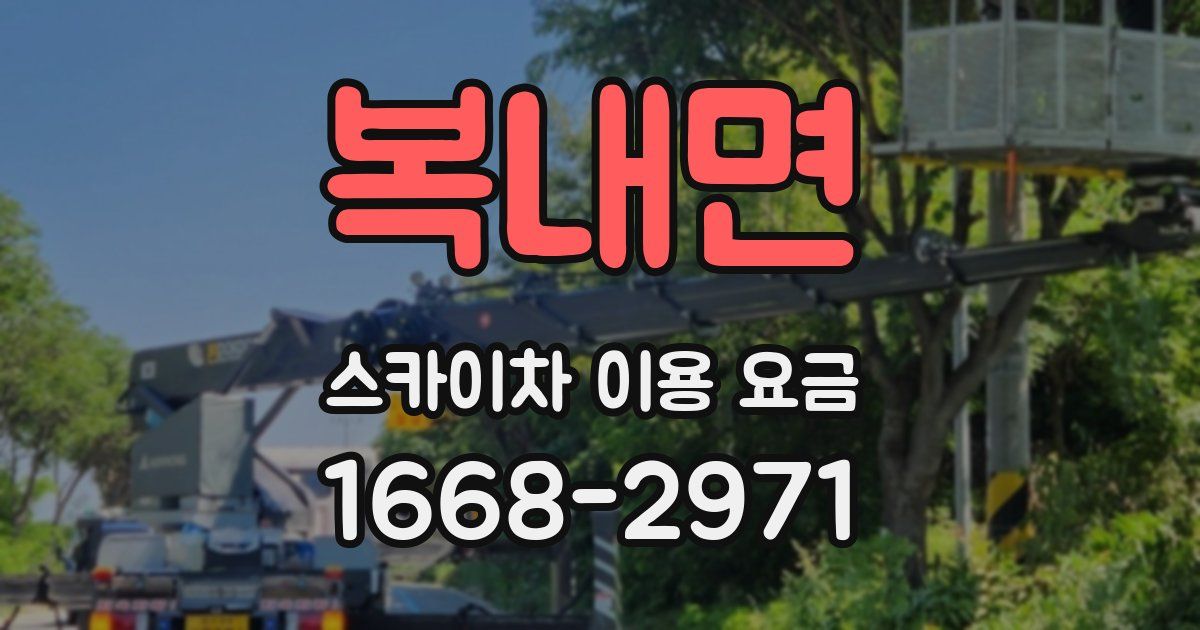 복내면 스카이차 이용 요금
