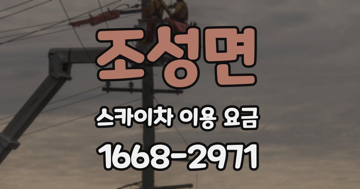 조성면 스카이차 이용 요금