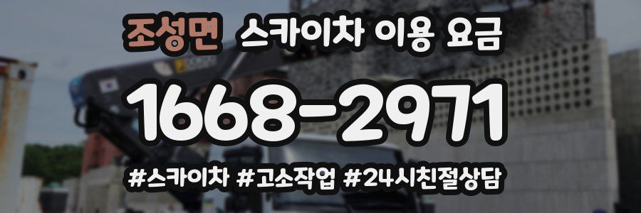 조성면 스카이차 이용 요금