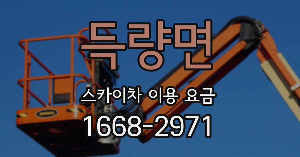 득량면 스카이차 이용 요금