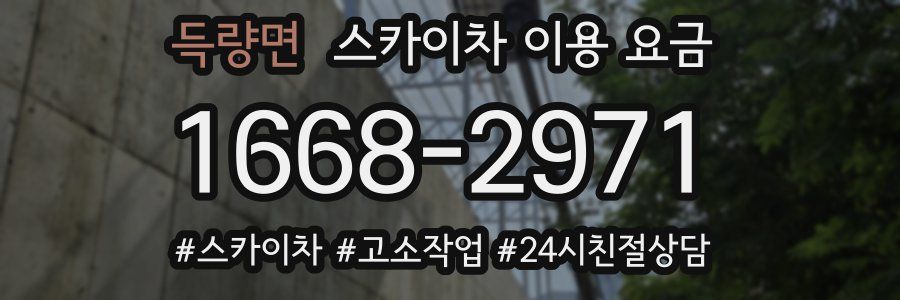 득량면 스카이차 이용 요금