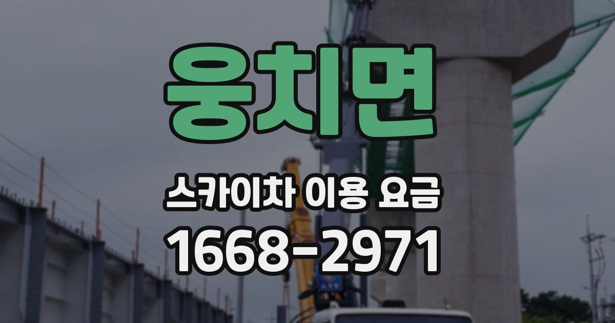 웅치면 스카이차 이용 요금