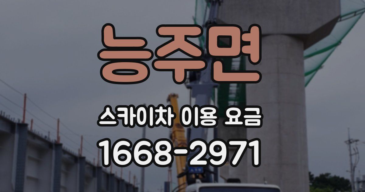 능주면 스카이차 이용 요금