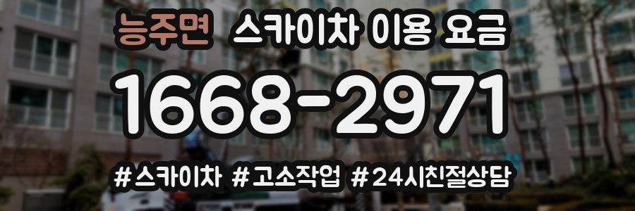능주면 스카이차 이용 요금