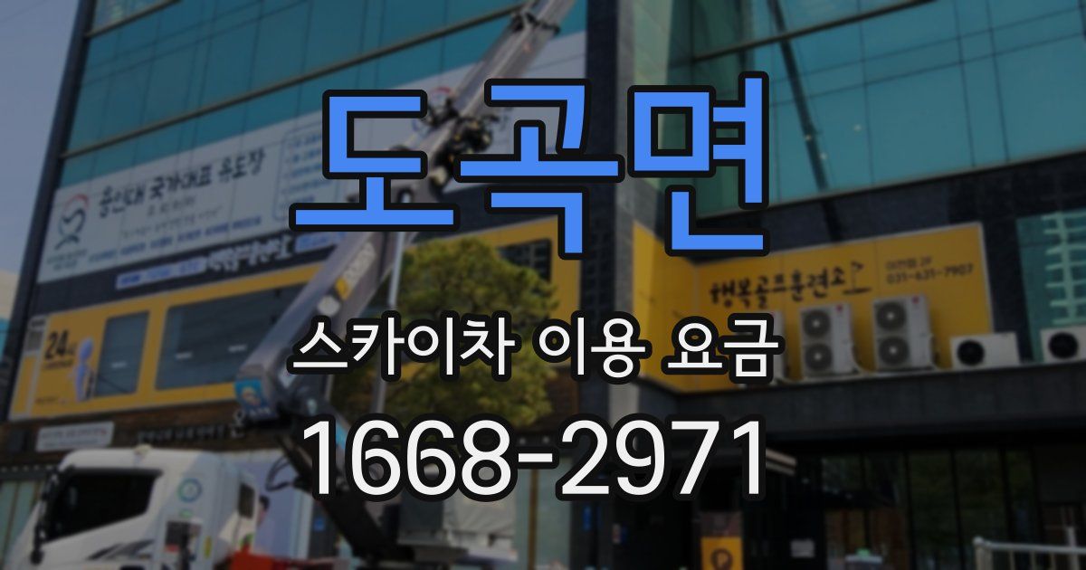 도곡면 스카이차 이용 요금