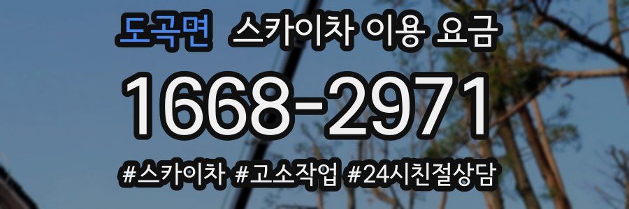 도곡면 스카이차 이용 요금