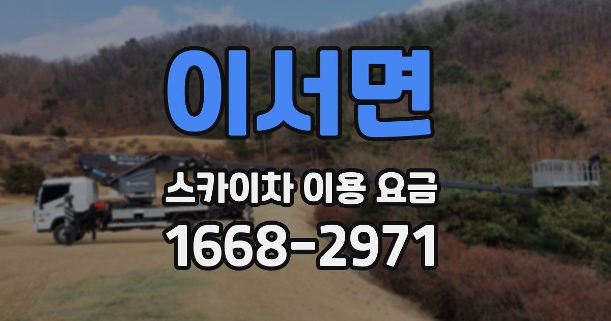 이서면 스카이차 이용 요금