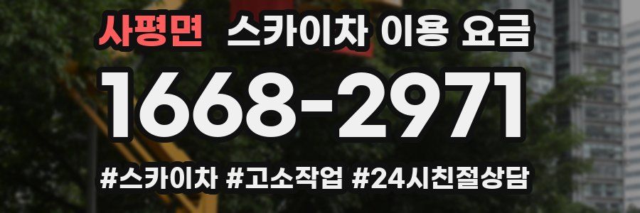 사평면 스카이차 이용 요금