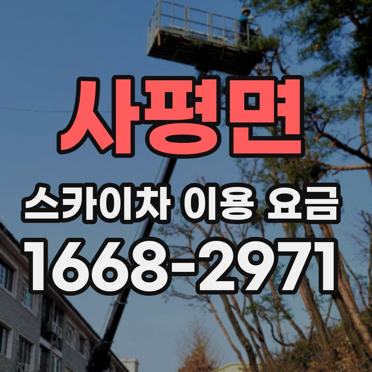 사평면 스카이차 이용 요금