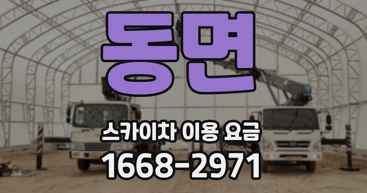 동면 스카이차 이용 요금