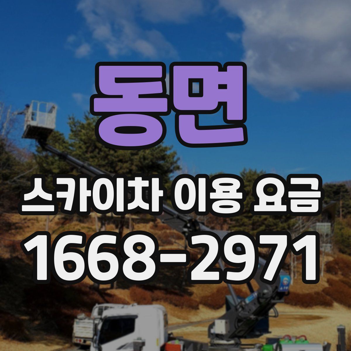 동면 스카이차 이용 요금