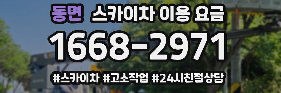 동면 스카이차 이용 요금