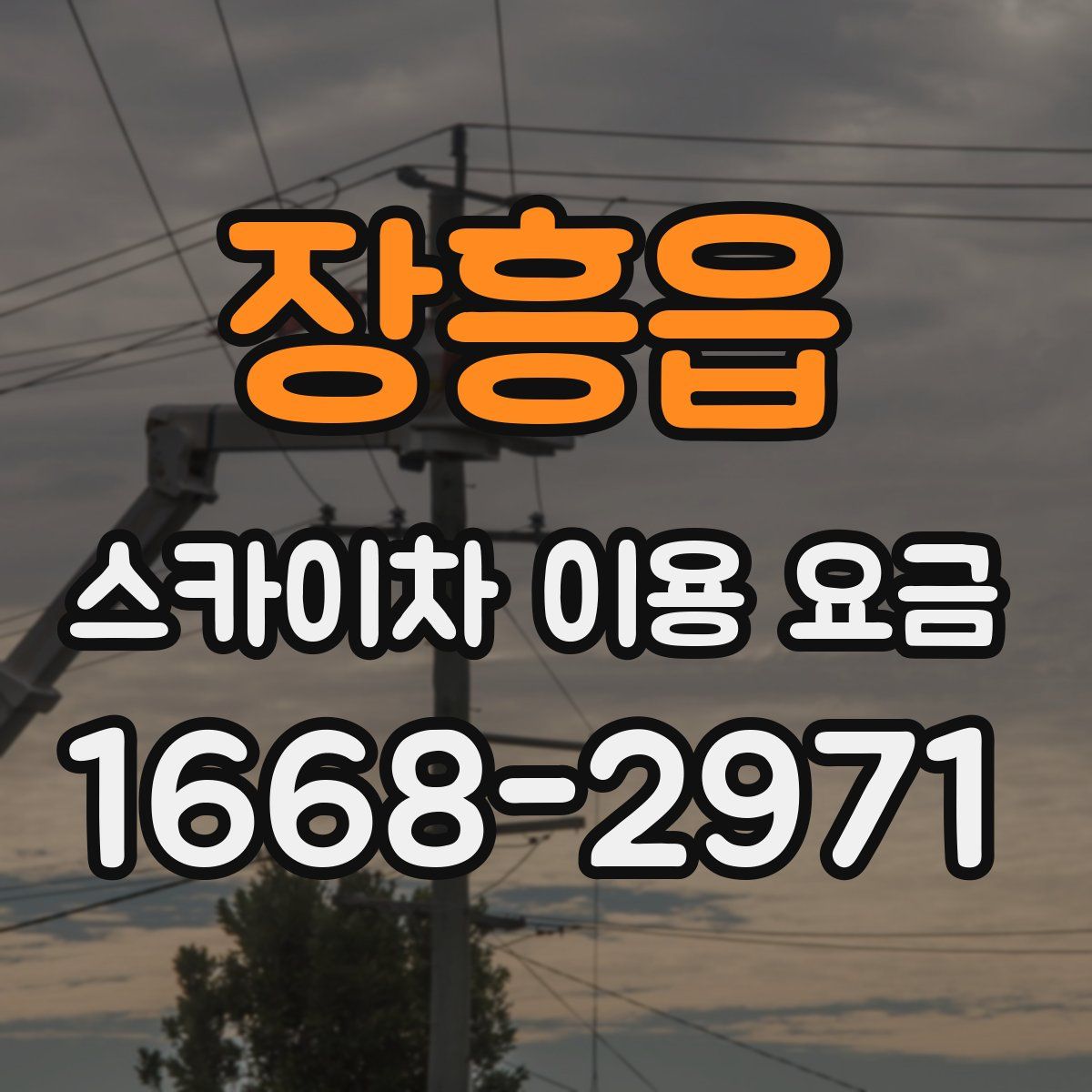장흥읍 스카이차 이용 요금