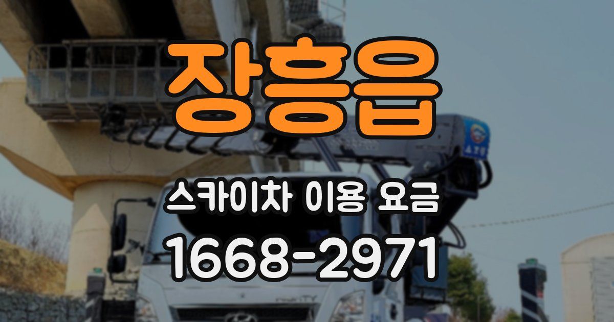 장흥읍 스카이차 이용 요금