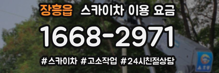 장흥읍 스카이차 이용 요금