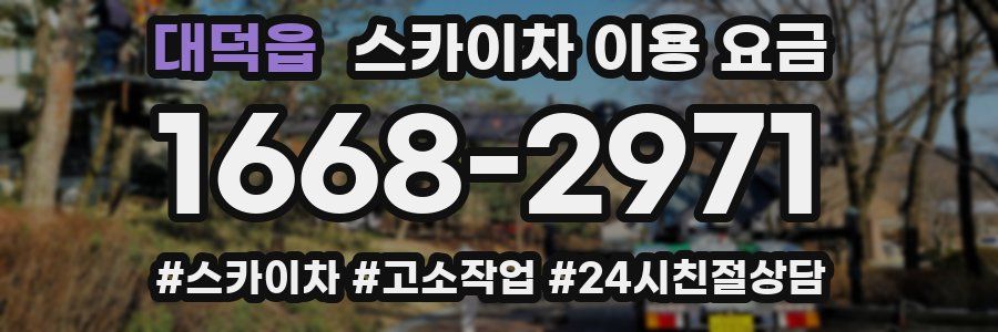 대덕읍 스카이차 이용 요금