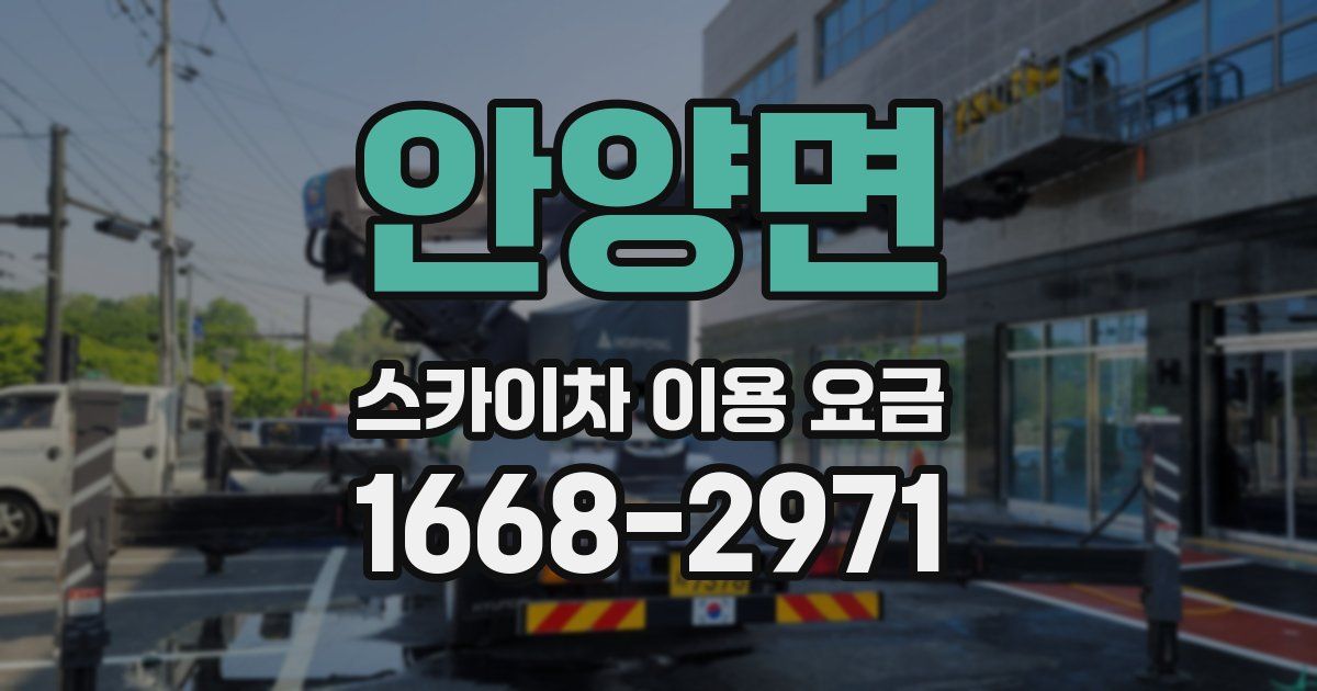 안양면 스카이차 이용 요금