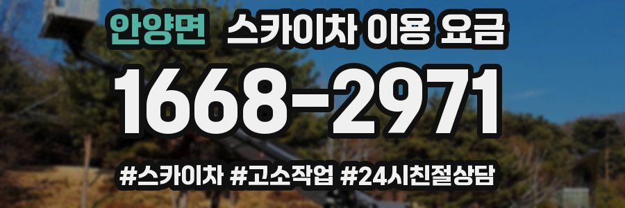 안양면 스카이차 이용 요금