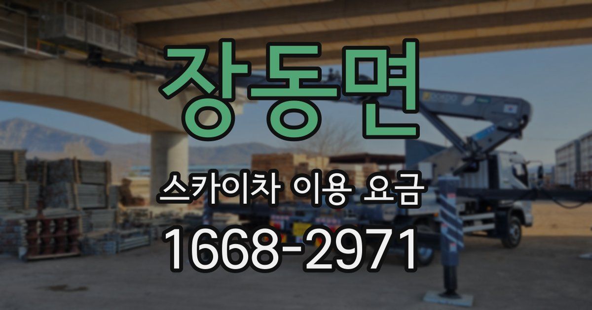 장동면 스카이차 이용 요금