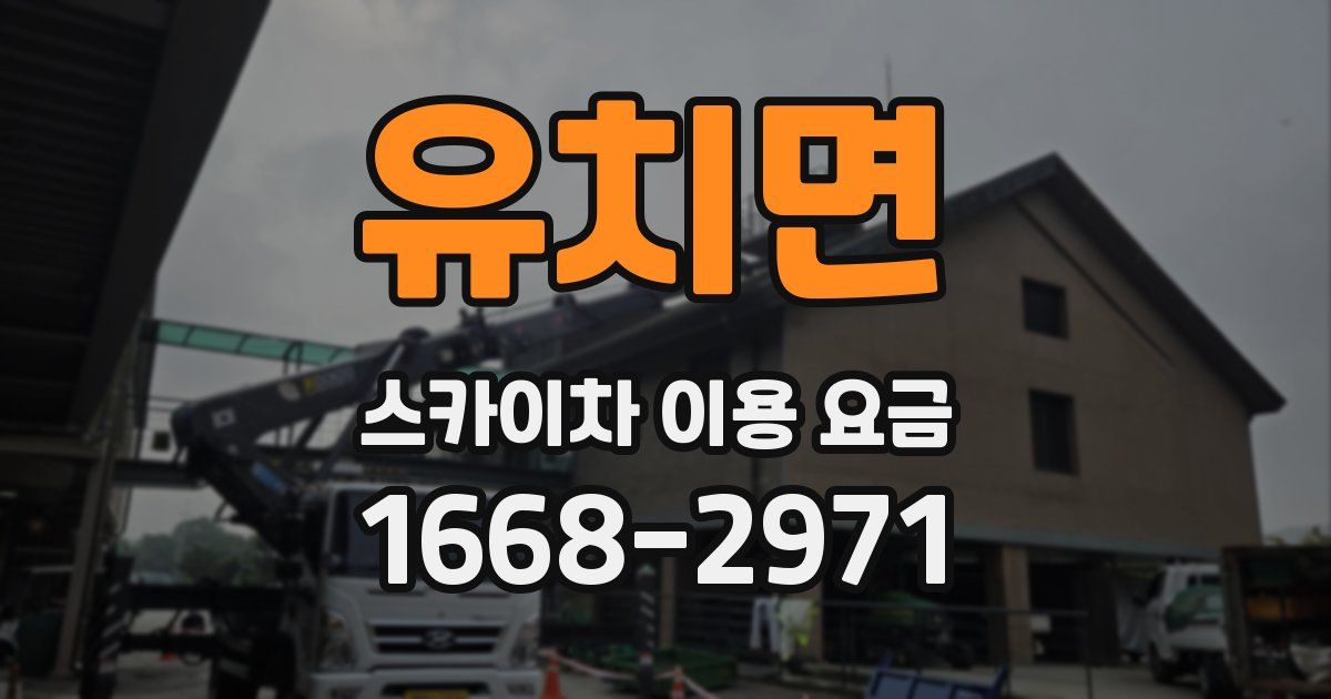 유치면 스카이차 이용 요금