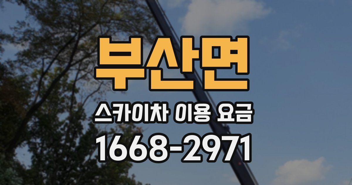부산면 스카이차 이용 요금