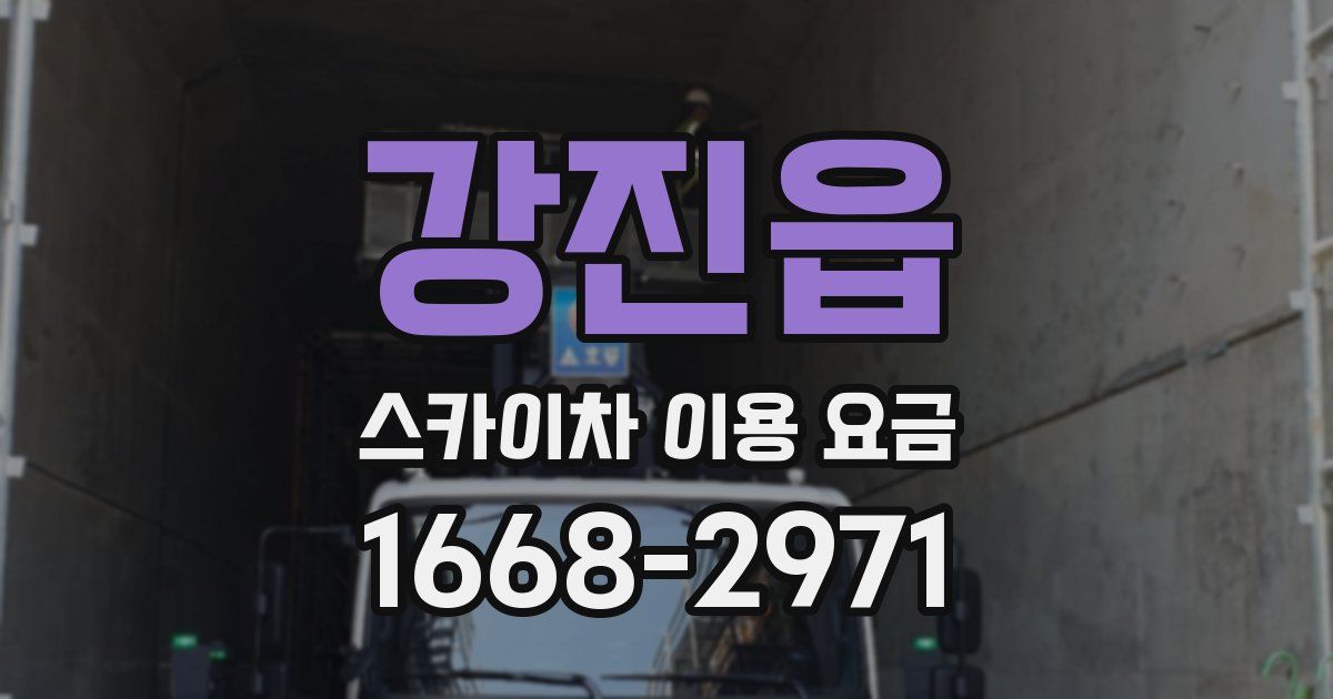 강진읍 스카이차 이용 요금