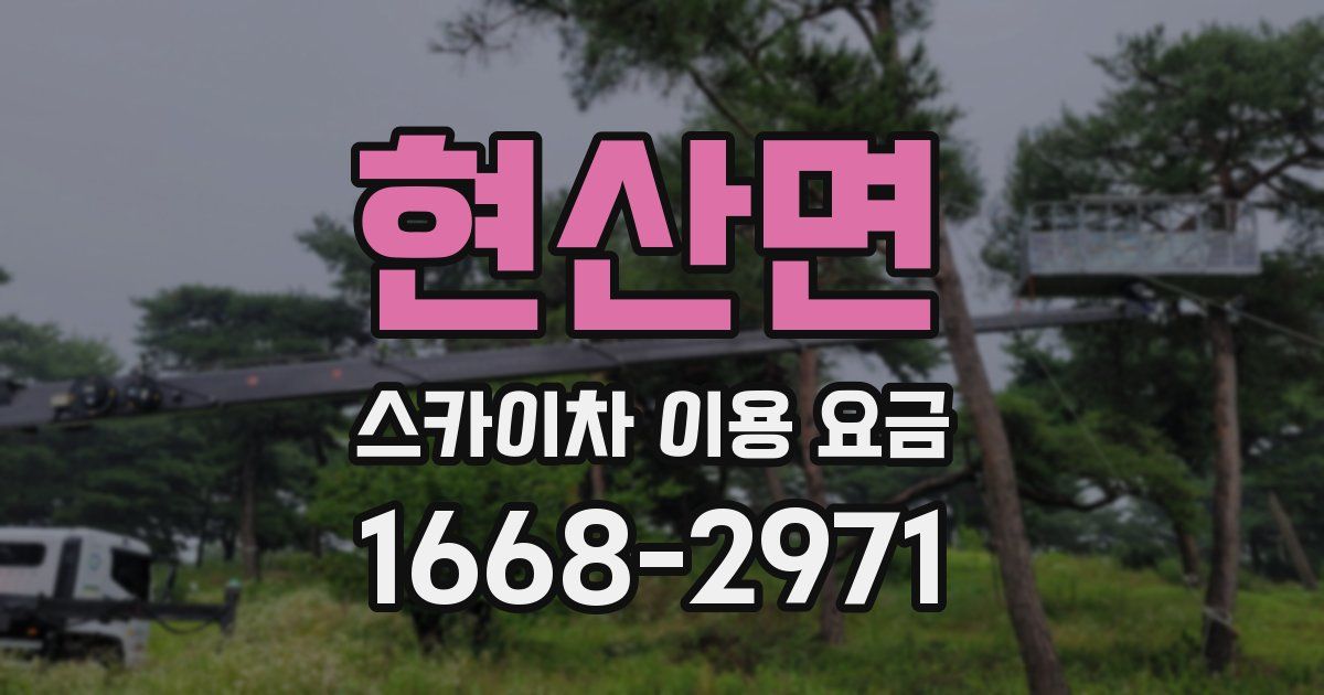 현산면 스카이차 이용 요금