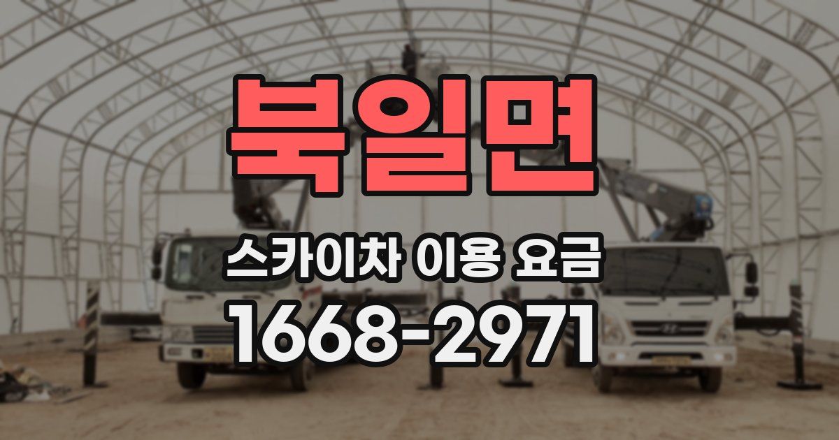 북일면 스카이차 이용 요금